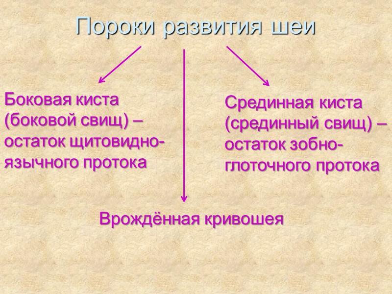 Пороки развития шеи Боковая киста (боковой свищ) – остаток щитовидно-язычного протока  Срединная киста